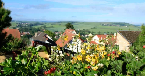 Ausblick (© Hotel Kollektur)