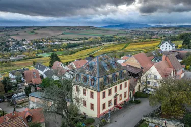 Eine malerische Landschaft mit einem charmanten historischen Gebäude im Vordergrund. Im Hintergrund sind sanfte Hügel und Weinfelder zu sehen.