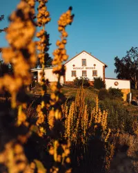 Weingut Bremer (© Agentur Tamed)