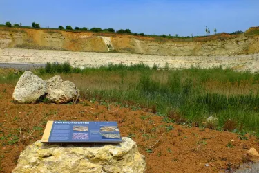 Geopark Göllheim (© Kurt Lahr)