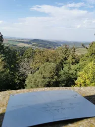 Aussicht Sattelbergturm