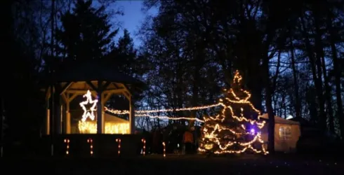 PHOTO-2025-11-04-20-25-39 8-1