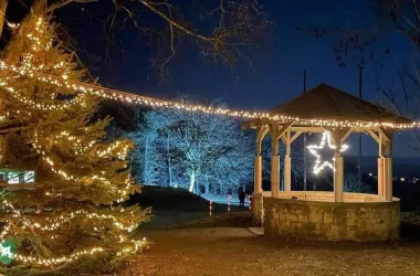 PHOTO-2025-11-04-20-25-38-1