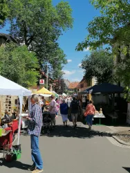 Ein lebendiger Markt mit Ständen und vielen Besuchern. Bäume und blauer Himmel sorgen für eine schöne Atmosphäre.