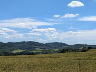 Ausblick Wohnmobilstellplatz Richtung Donnersberg