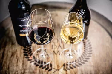 Vino (© Sebastian Fachenbach)