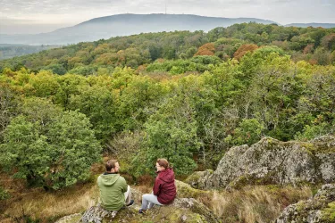 Blick zum Donnersberg vom Drosselfels