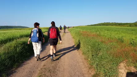 Wandermarathon 2018