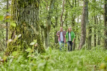 Wandern am Donnersberg