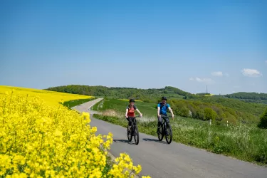 Radfahren in der Alten Welt 