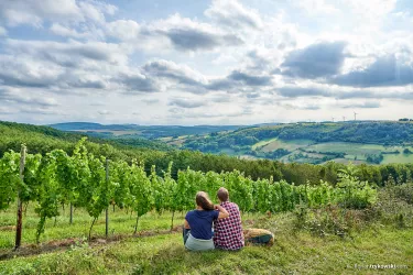 Blick vom Moschellandsberg