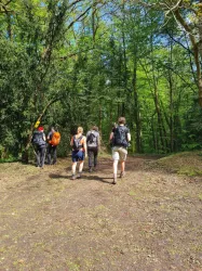 Wandermarathon am Donnersberg 2024