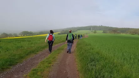 Wandermarathon am Donnersberg 
