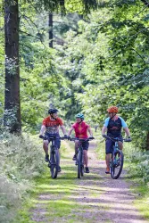 Mountainbike Tour, MTB