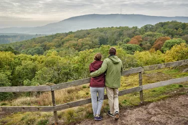 Drosselfels mit Blick zum Donnersberg im Herbst