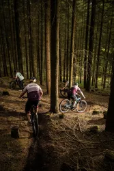 Gruppe auf dem Mountainbike-Singletrail
