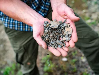 Bodenbesonderheit im Alsenztal