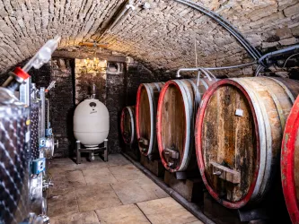 Weinkeller des Weinguts Hahnmühle