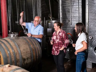 Wein probieren im Weinkeller