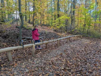 Glockenmurmelbahn am Stahlberg