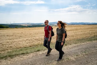 Auf dem Pfälzer Höhenweg in Richtung Obermoschel