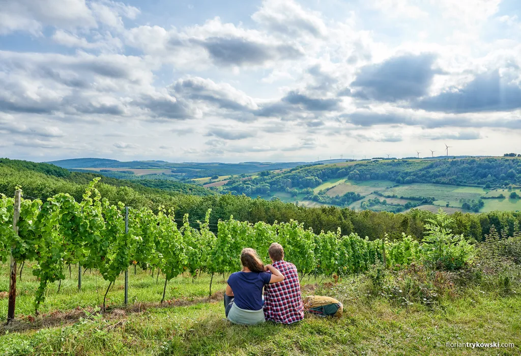 Blick von der Moschellandsburg