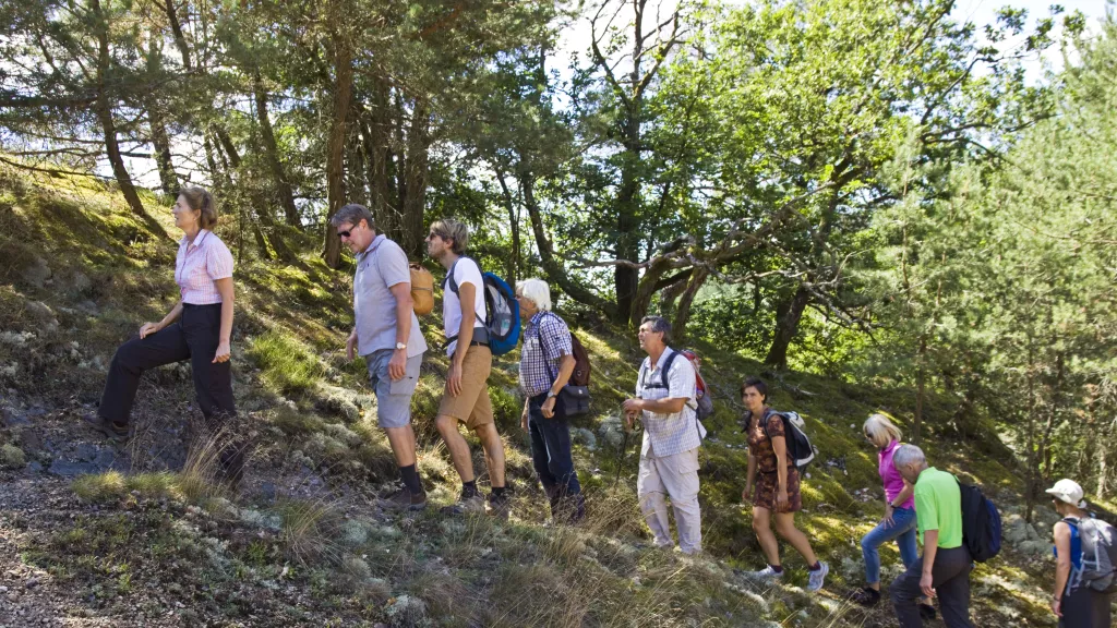 Geführte Wanderungen 