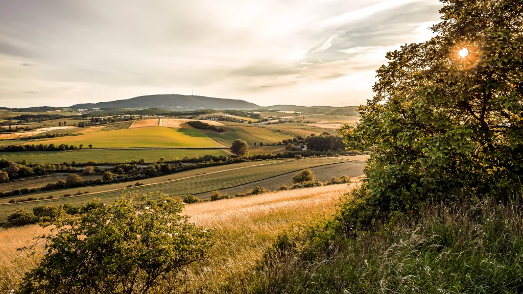 Blick zum Donnersberg