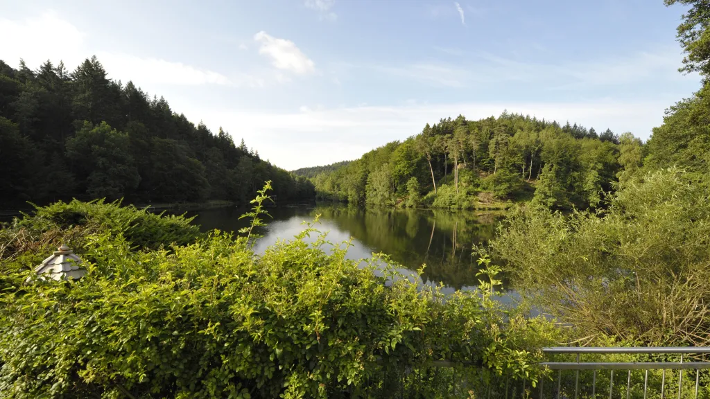Blick auf den Eiswoog