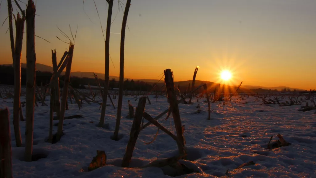 Winterwandern