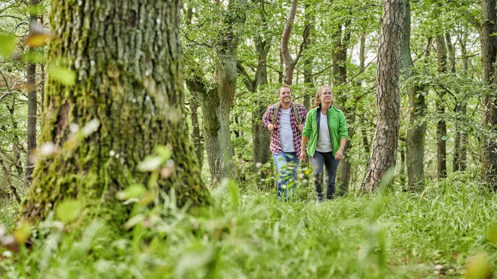 Wandern am Donnersberg