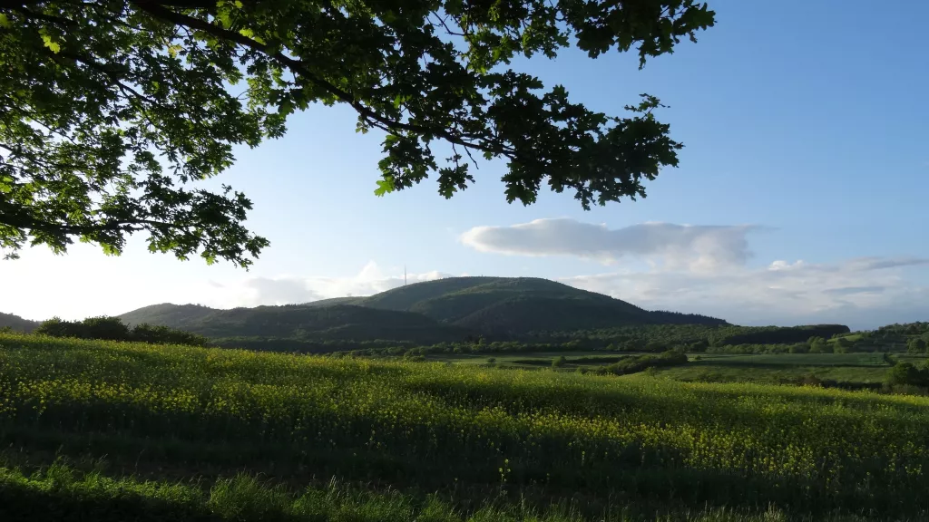 Blick zum Donnersberg