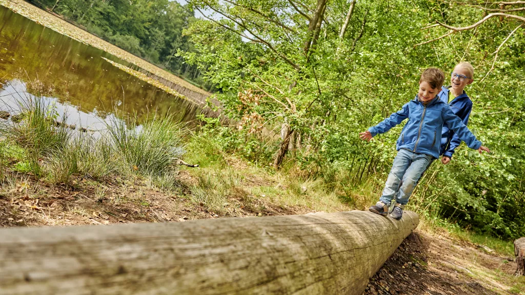 Spielen am Retzbergweiher