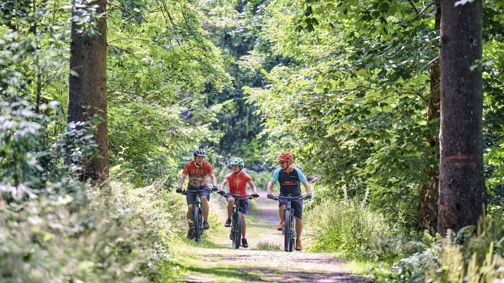 MTB im Donnersberger Land