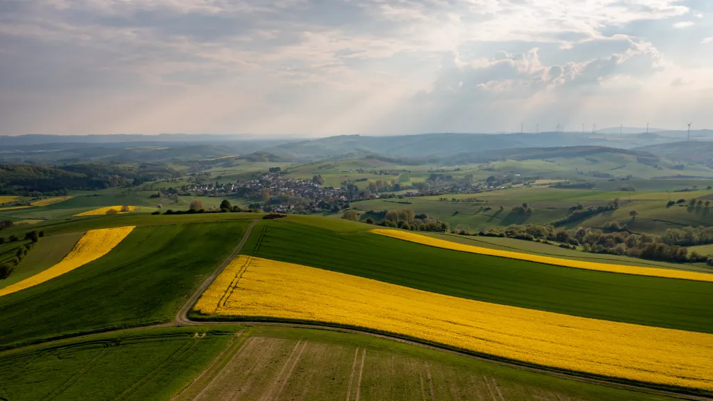 Hügellandschaft "Alte Welt"