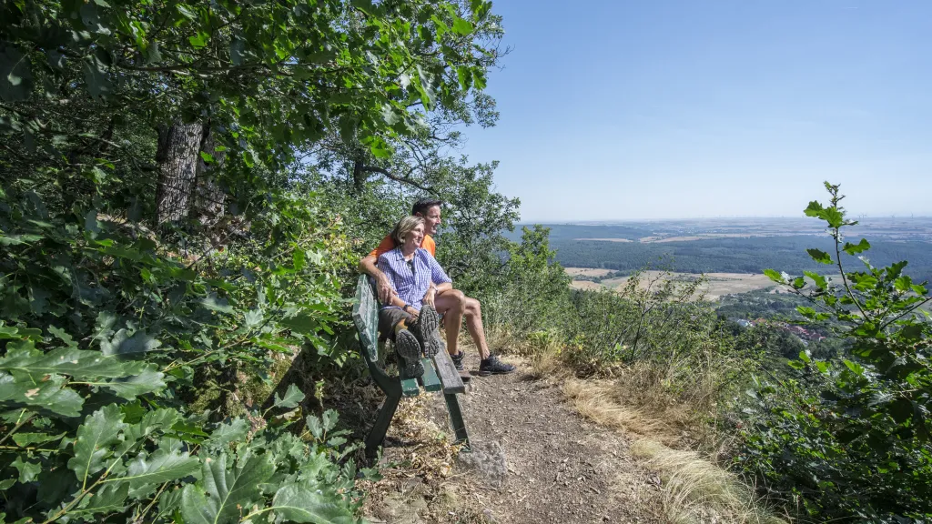 Wandern, Donnersberg, Bank, Sommer, Aussicht