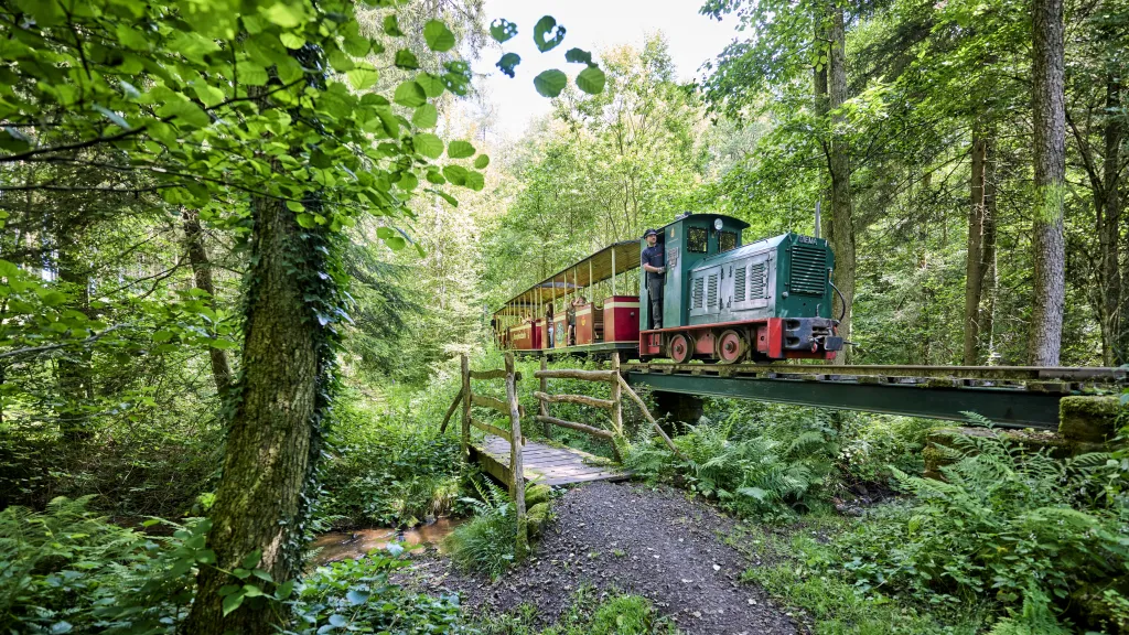 Stumpfwaldbahn am Eiswoog