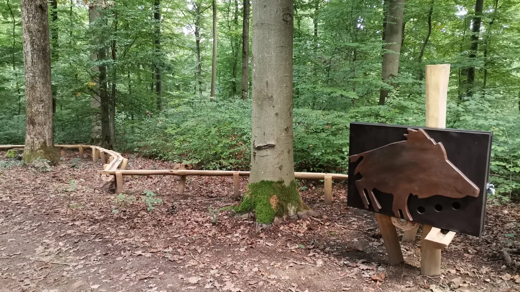 Waldmurmelbahn Wildschwein