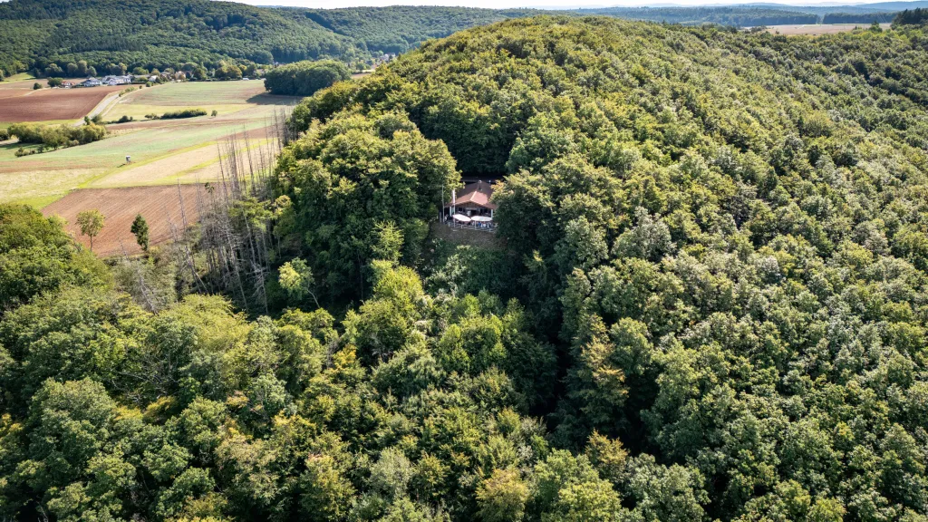 Blick auf die Hohlsteinhütte bei Münchweiler/Alsenz