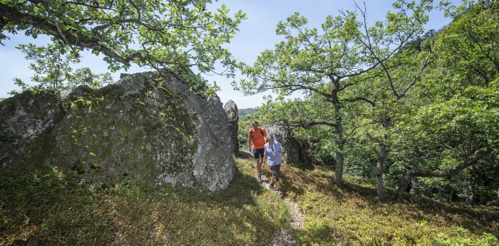 Wanderwege