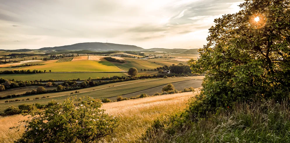 Blick zum Donnersberg