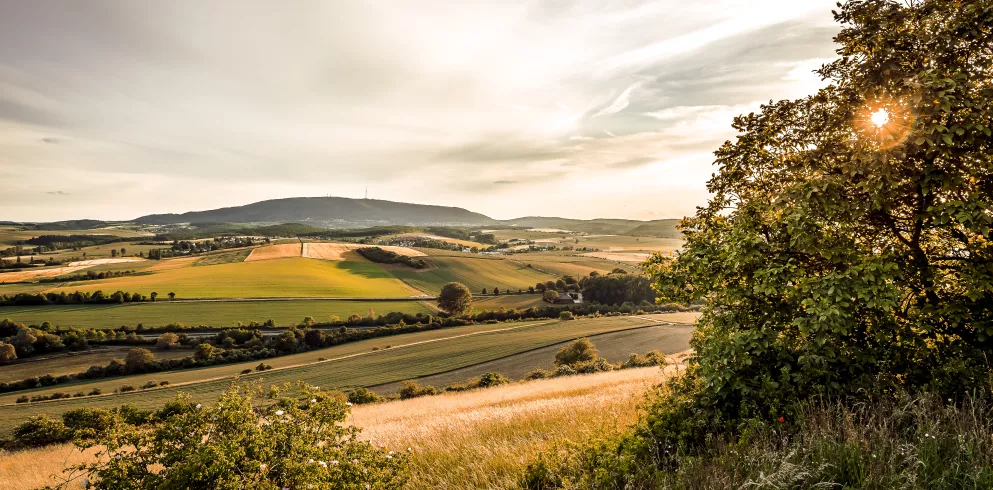 Blick zum Donnersberg