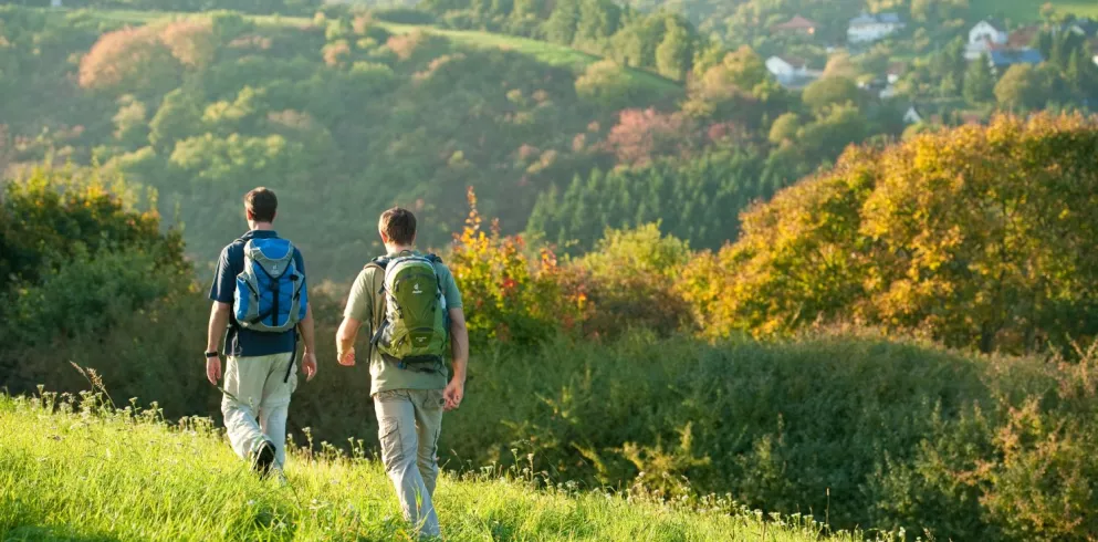 Wandern auf dem Pfälzer Höhenweg mit Blick auf Obermoschel