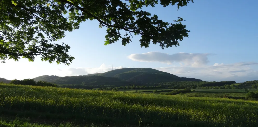 Blick zum Donnersberg