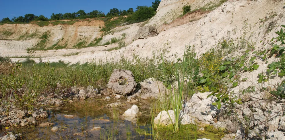 Naturerlebnis auf dem Geopfad Dachsberg 