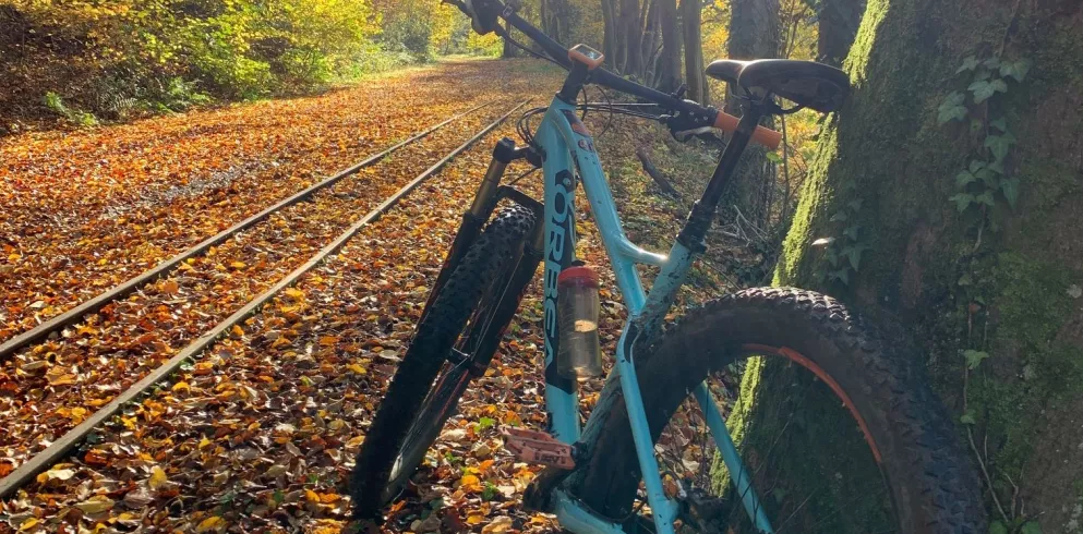 Biken im goldenen Oktober