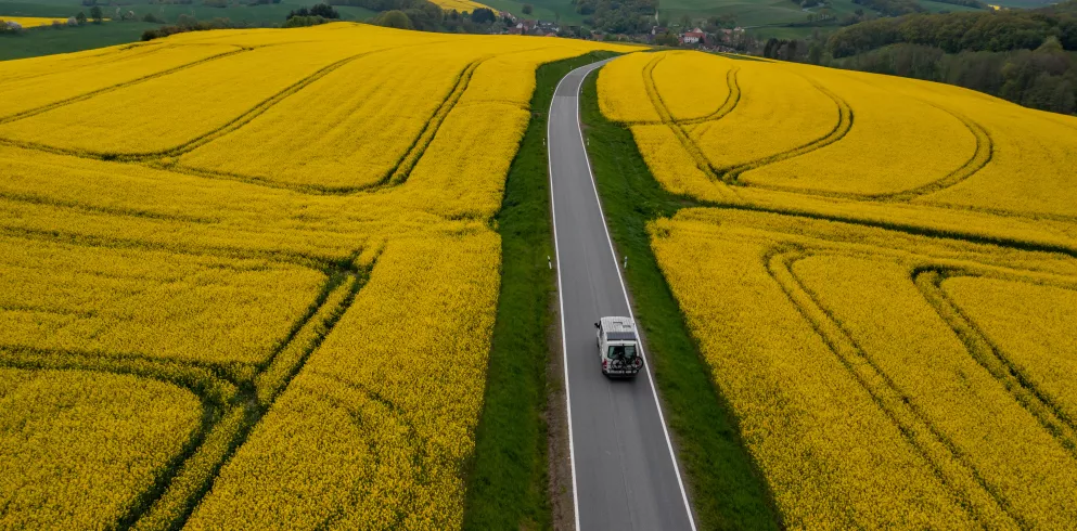 Aufbruch in die "Alte Welt"