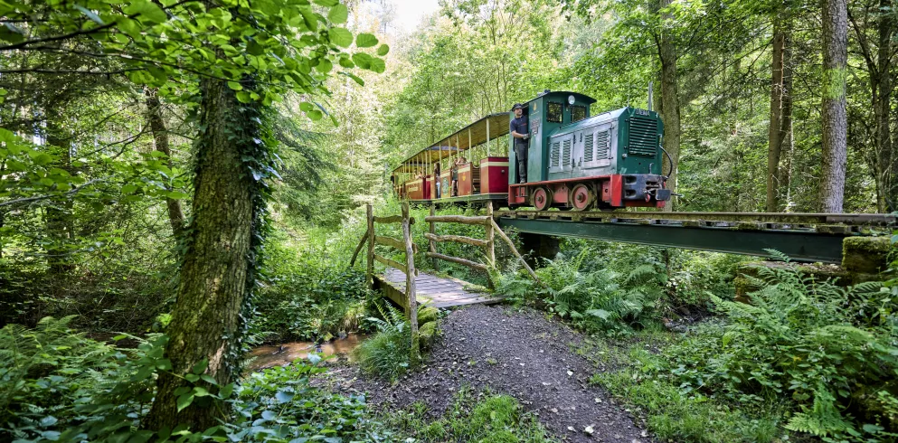 Stumpfwaldbahn, Wald, Eiswoog