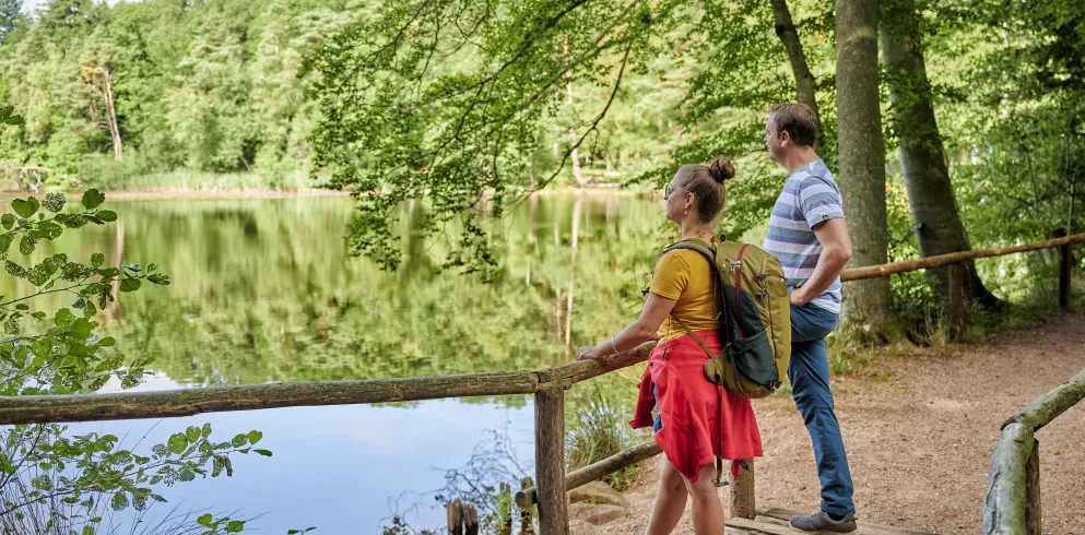 Wanderung im Donnersberger Land