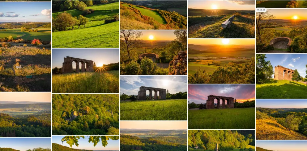 Übersicht Bilddatenbank